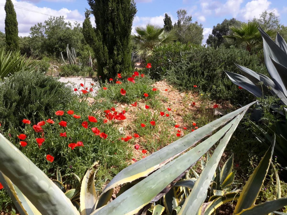 Finca Alqueria Fosca カンポス エクステリア 写真