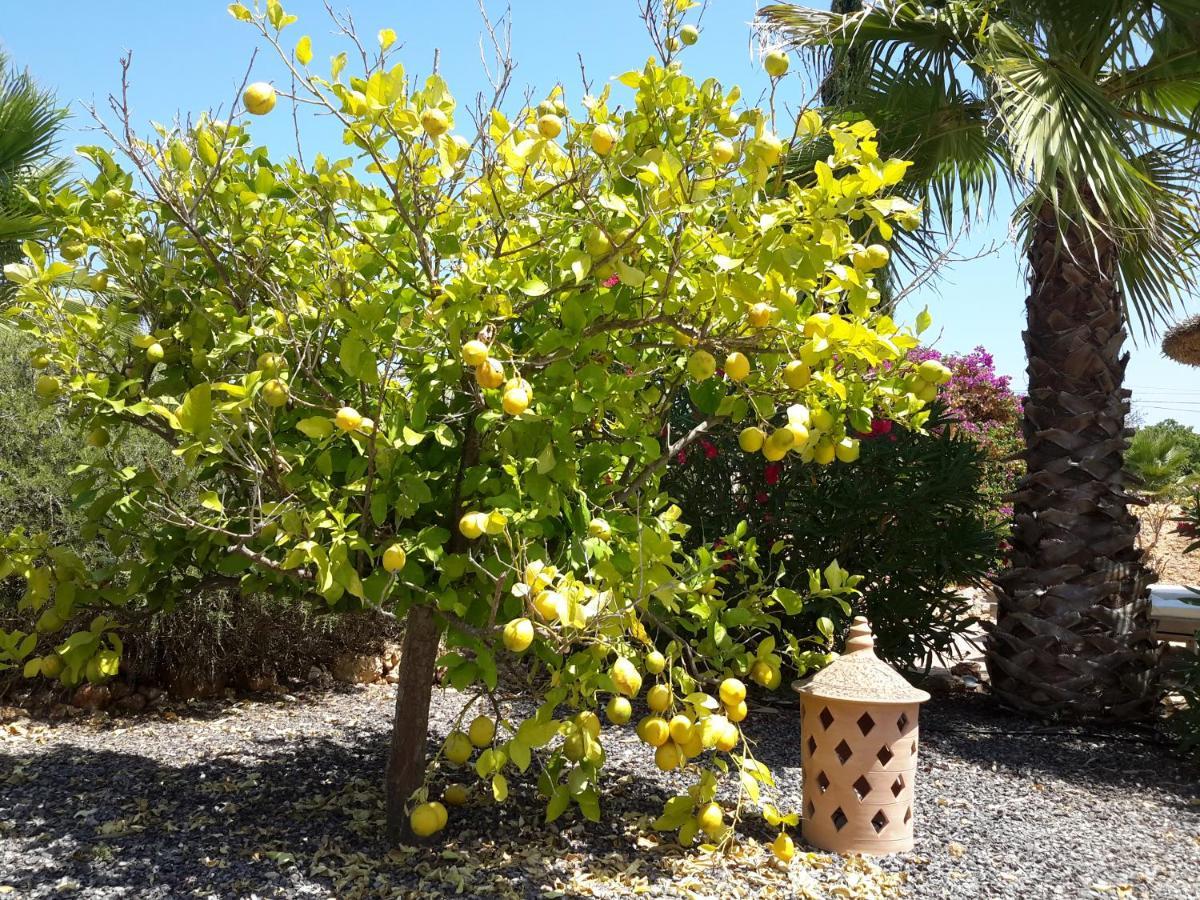 Finca Alqueria Fosca カンポス エクステリア 写真