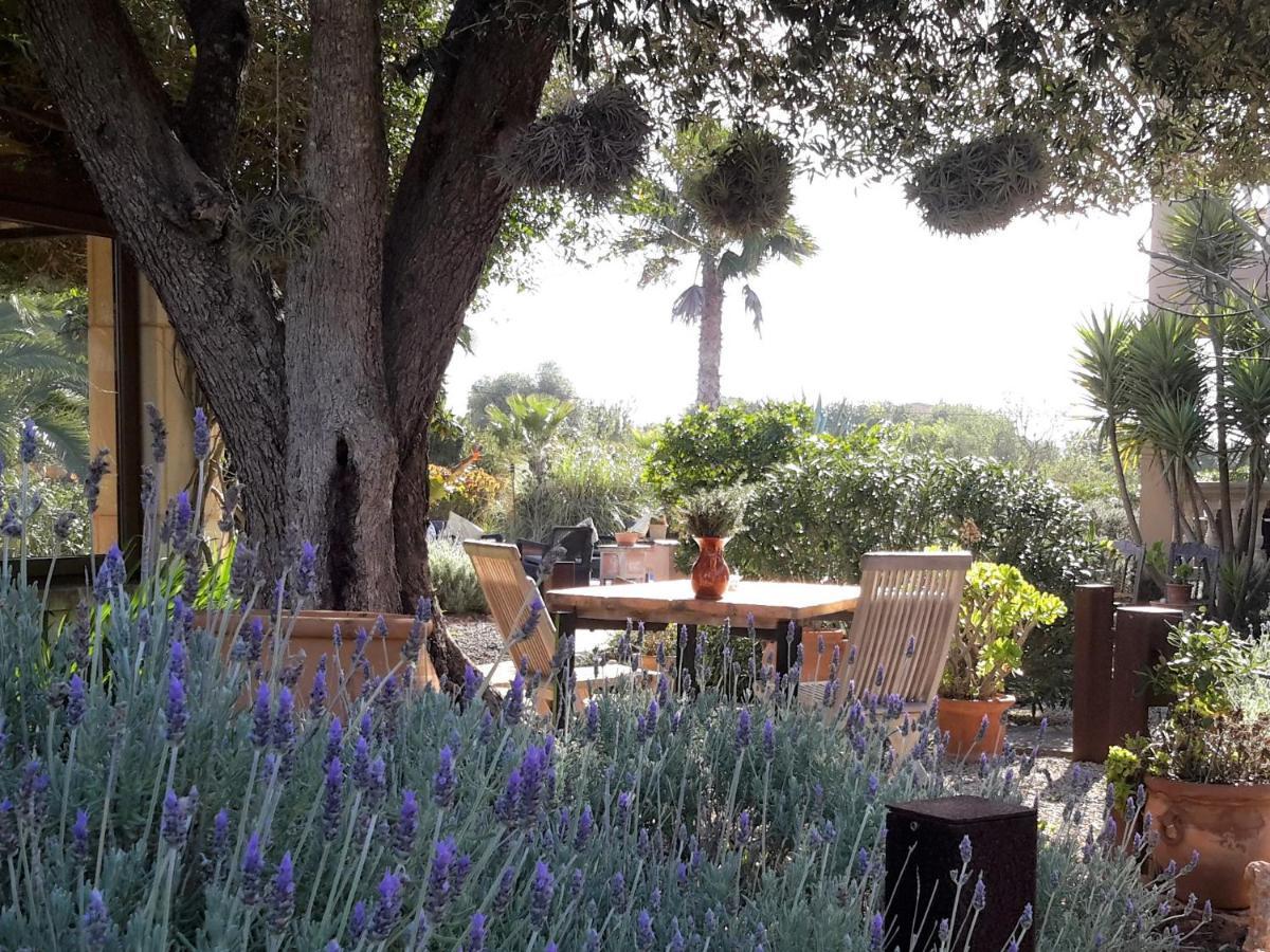 Finca Alqueria Fosca カンポス エクステリア 写真