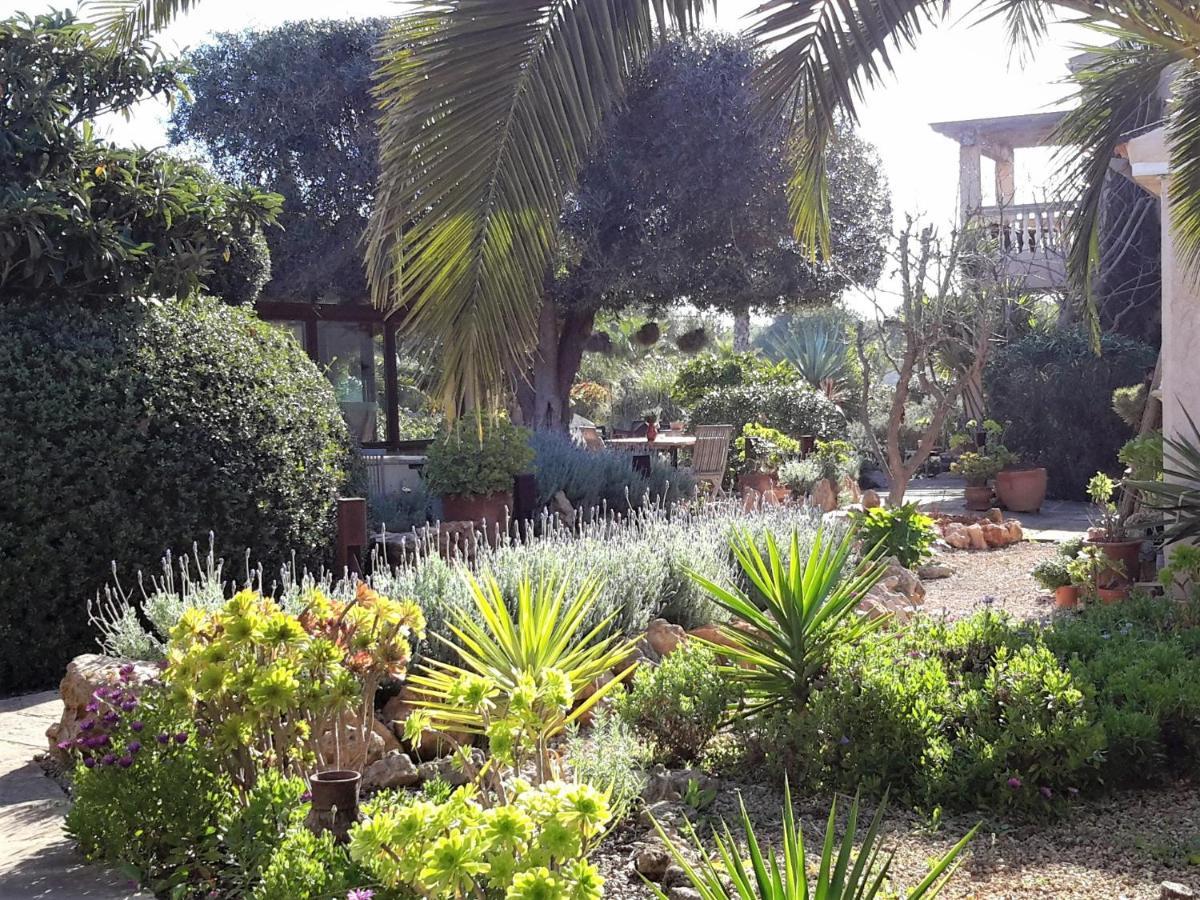 Finca Alqueria Fosca カンポス エクステリア 写真
