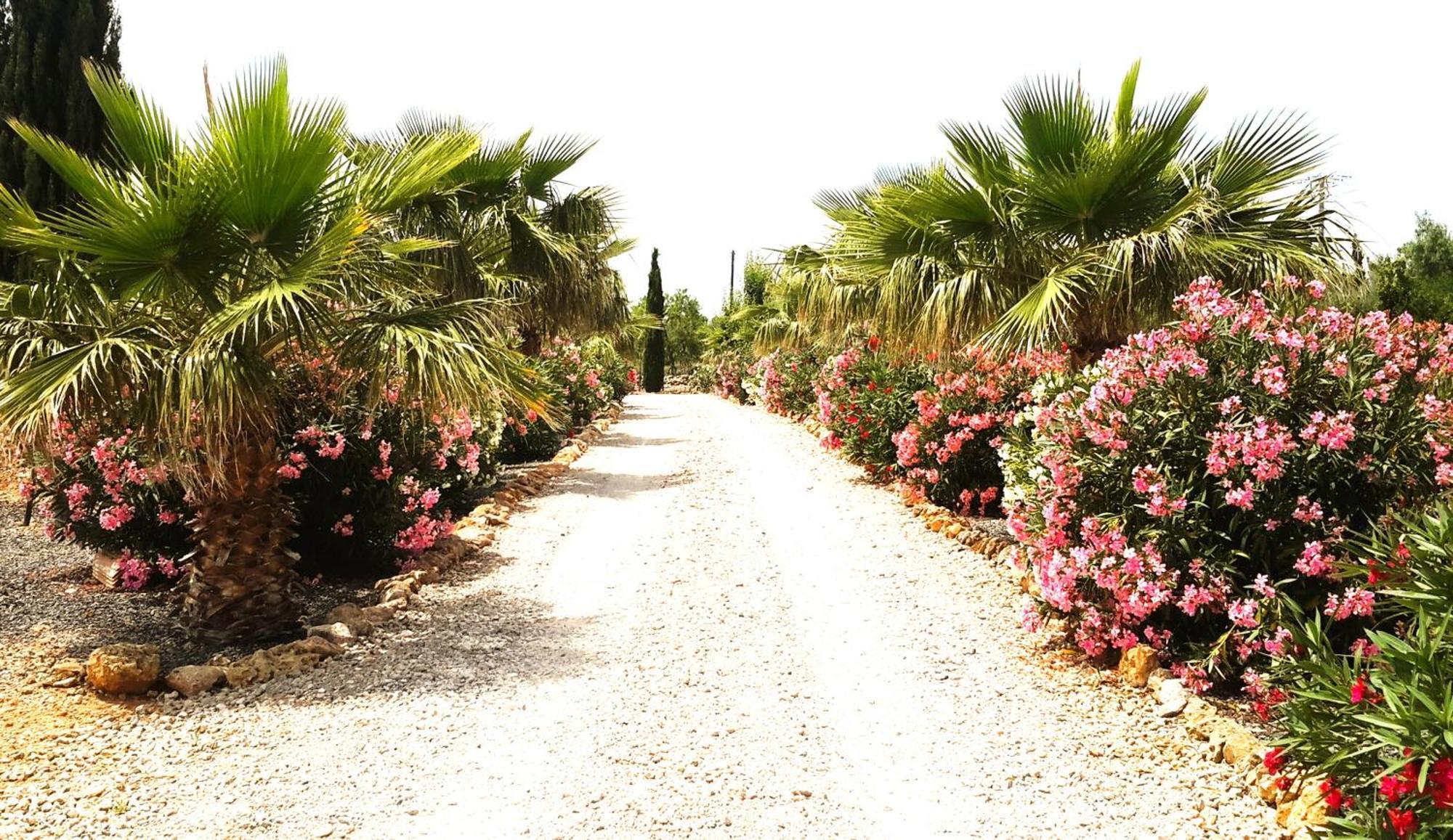 Finca Alqueria Fosca カンポス エクステリア 写真