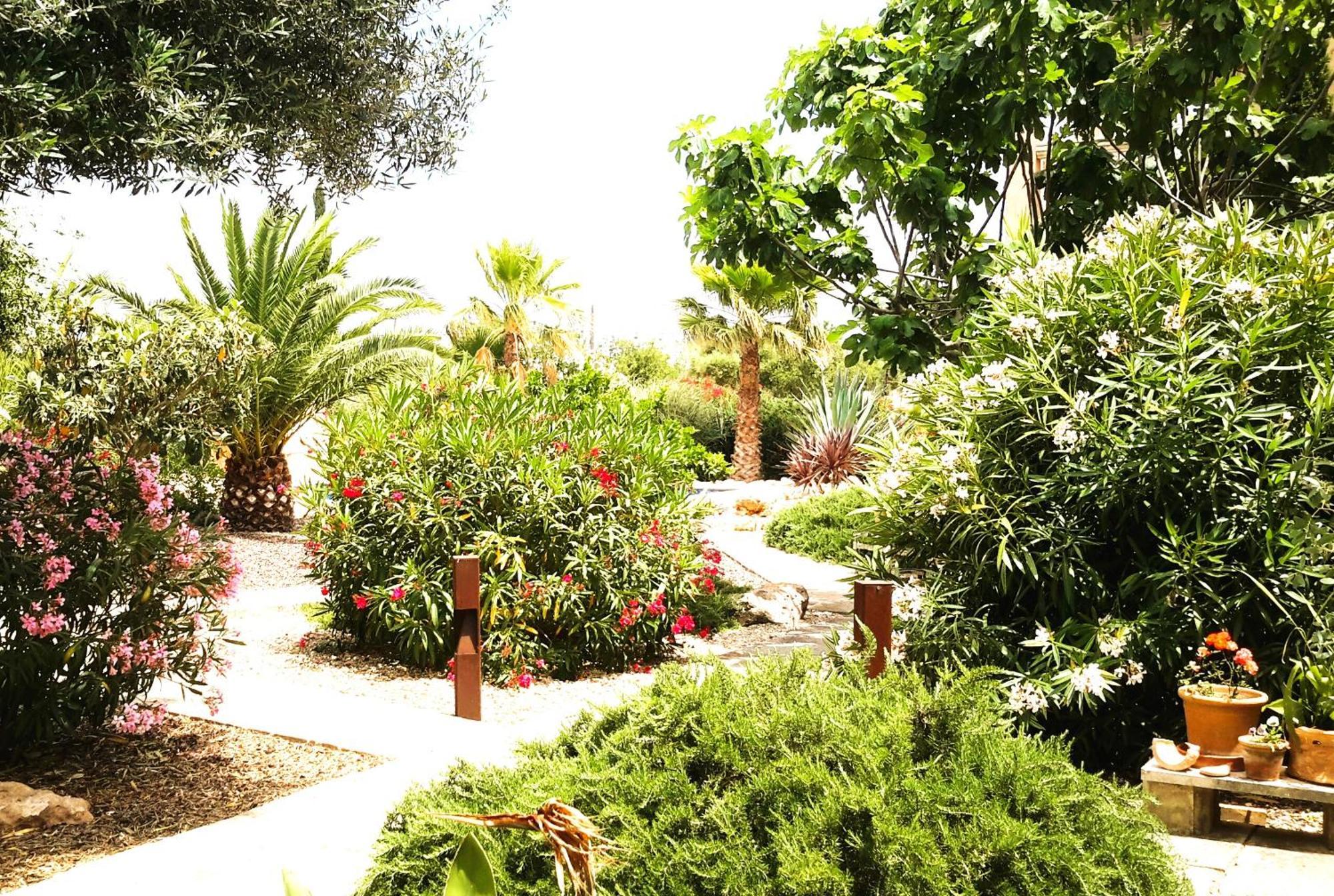 Finca Alqueria Fosca カンポス エクステリア 写真