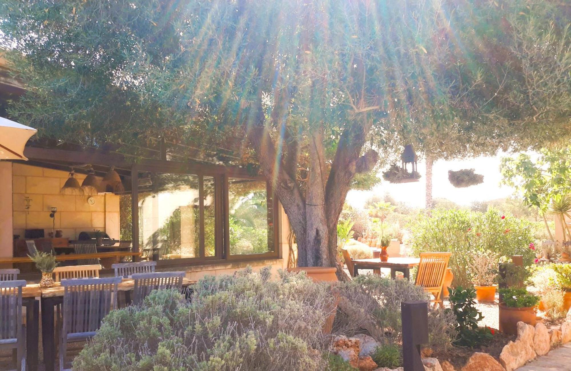 Finca Alqueria Fosca カンポス エクステリア 写真