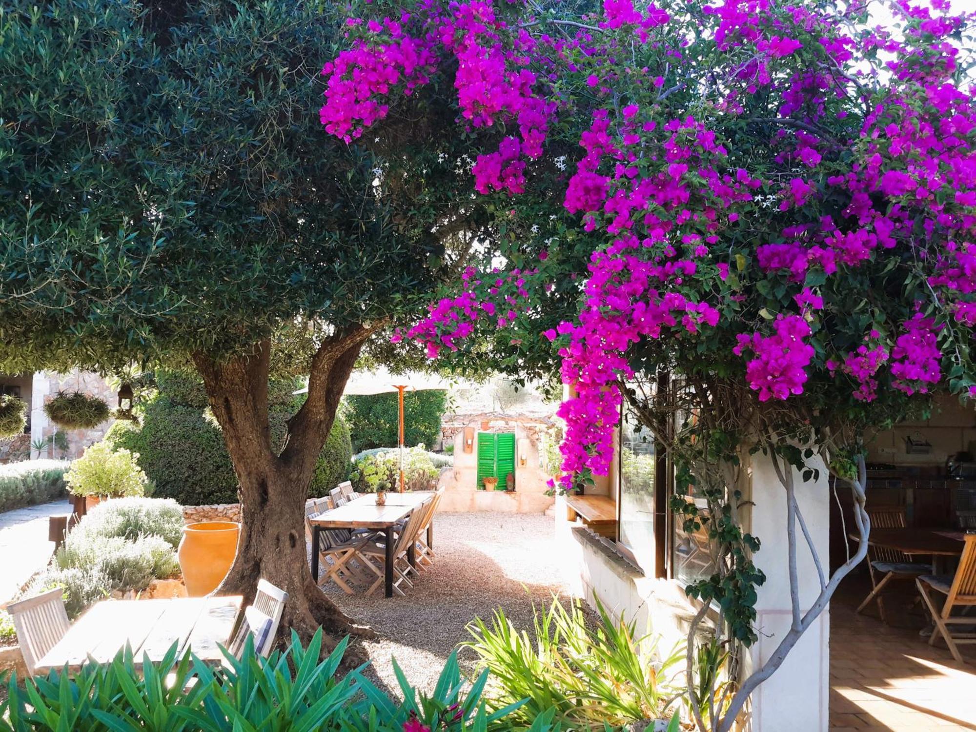 Finca Alqueria Fosca カンポス エクステリア 写真